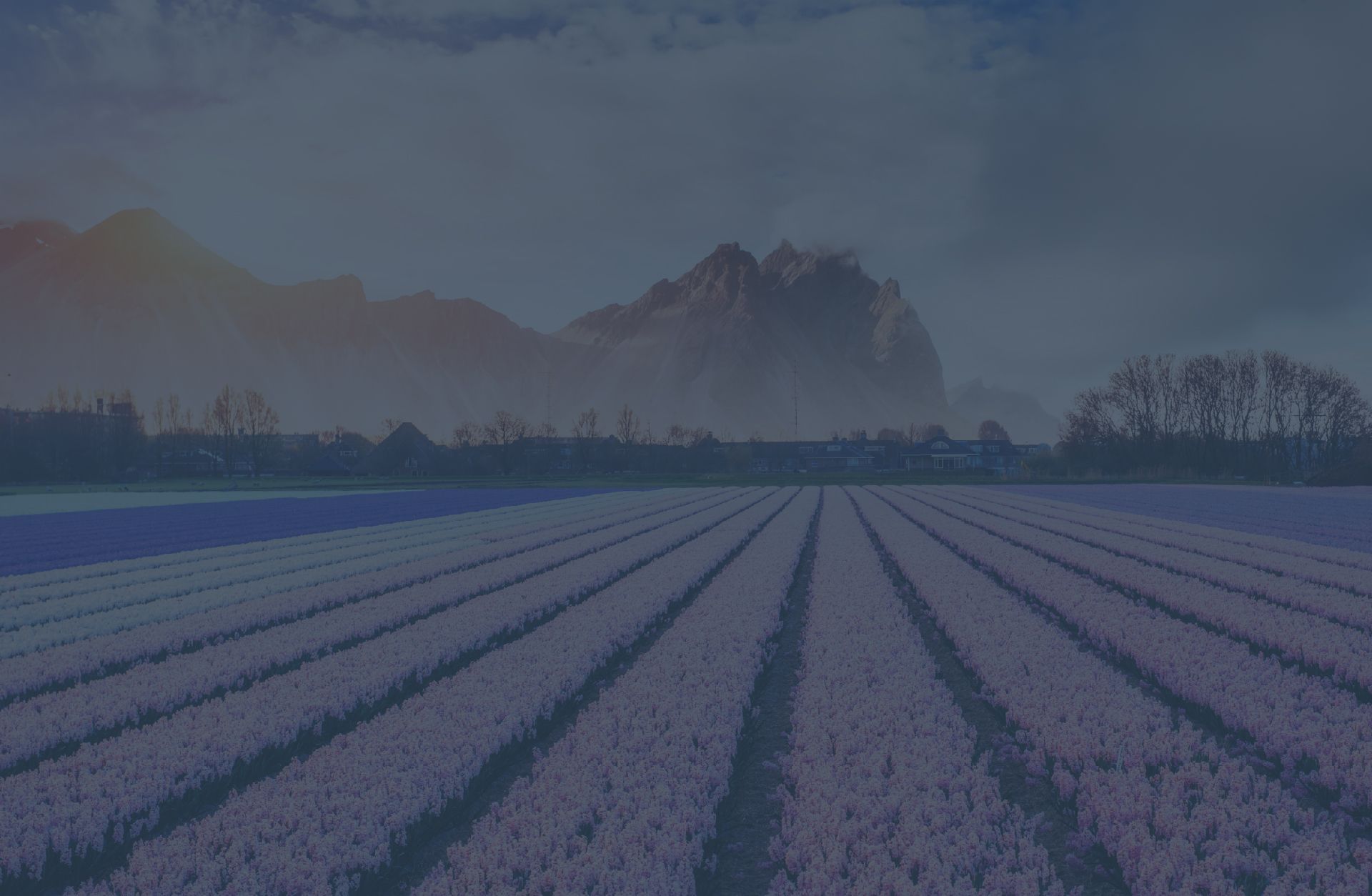 VIsit Netherlands_Desktop